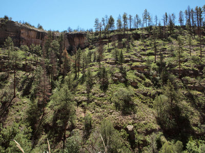 View from the trail leaving the Gila Cliff dwellings