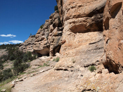 The trail past the Gila cliffs