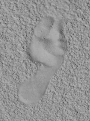 g9/55/529055/3/157746195.gI0d5LuG.jpg
