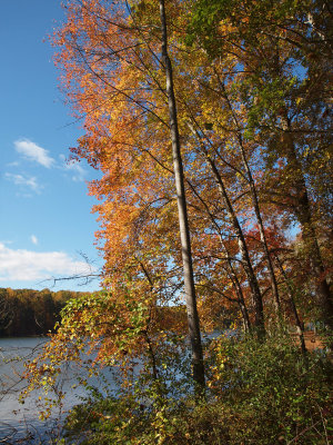 Sign of Fall on Seneca Creek Lake