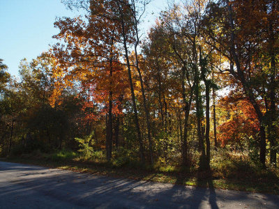 Oct 26th - Early morning light patterns at Seneca Creek parking lot