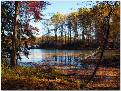 Fall scene by the lake