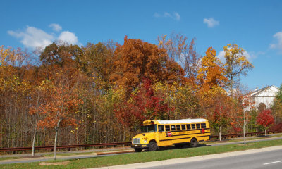 The school bus