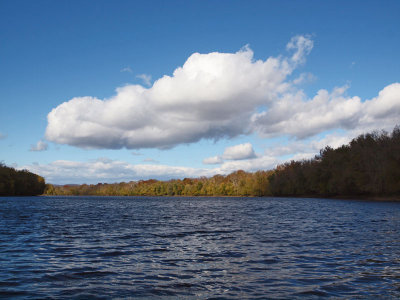 Between sunlight and shadows on the trees beside the Potomac