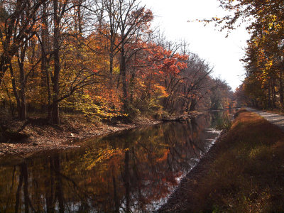 Some reflections