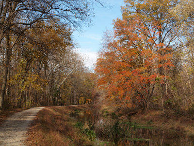 Color over the canal