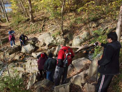 Negotiating a stream