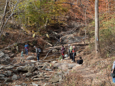 Stream crossing at the bottom