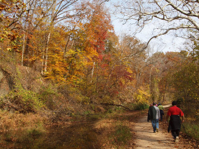 A bright spot along the towpath