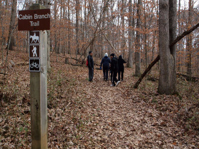 Taking the Cabin Branch Trail