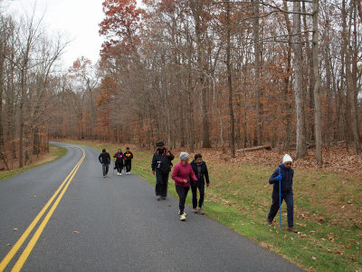 Along the main road
