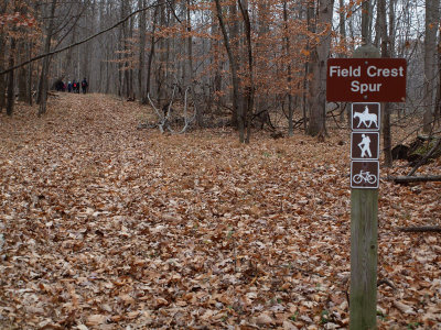 Field Crest Spur