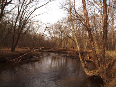 Nov 23rd - Seneca Creek at Riffle Ford Road