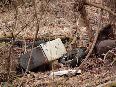 Garbage in the woods