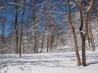 March 6th - Parking lot at Anglers Inn