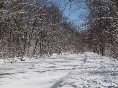 Towpath and canal