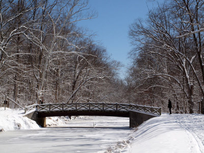 The bridge