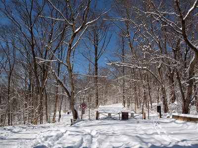 Berma road trail and the path down to the canal and river
