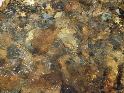 Clear waters and abstract art