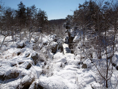 Frozen flows