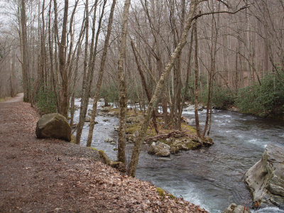 Change in the surface of the trail