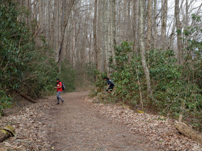 Emerging from the bushes - On the way to the Huskey Gap Trail