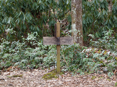 Onward to the Cucumber Gap Trail