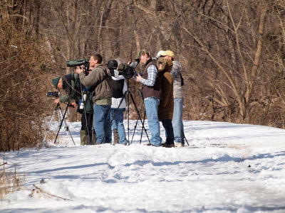 Birdwatchers on the trail