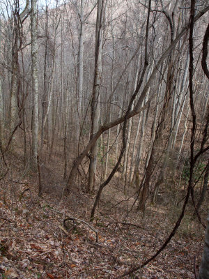 The sharp drop beside the trail