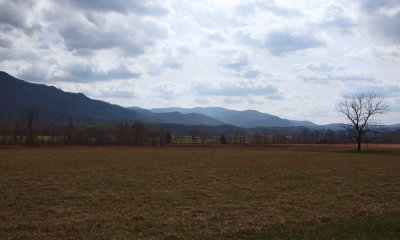 Scene at Cades Cove