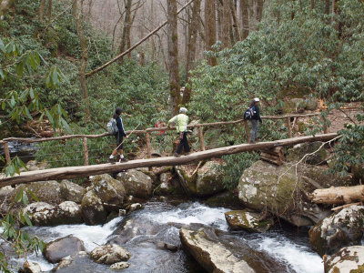 The more difficult bridge