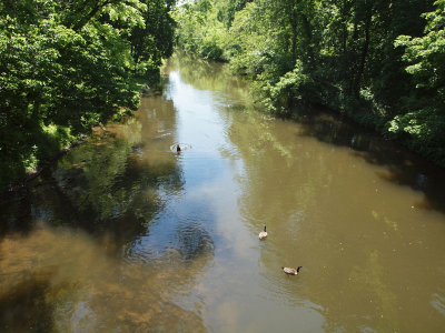 The Delaware and Raritan canal