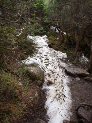 Snow and ice on the trail