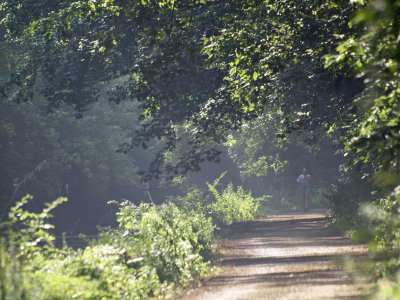 July 19 - Muggy on the trail