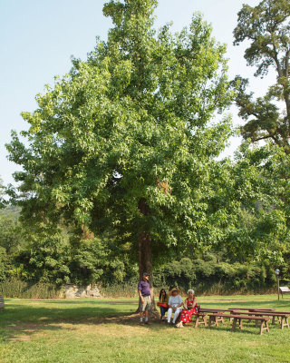 Under a tree at Harpers Ferry
