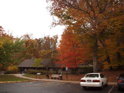 October 25th - Catoctin Mountain Park Visitor Center