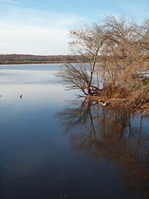 Nov 8th - Where Seneca Creek and the Potomac meet