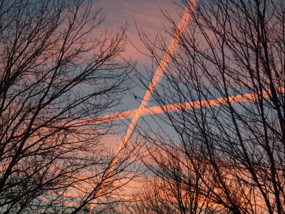 X marks the spot