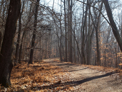 The winding Berma road trail