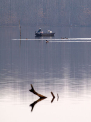 Boat and ducks