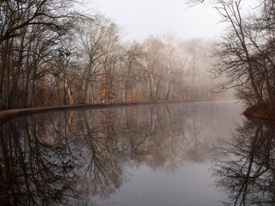 Reflections in the mist