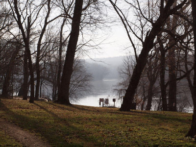 Potomac through the trees at Nolands Ferry