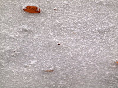 Mottled surface of the ice