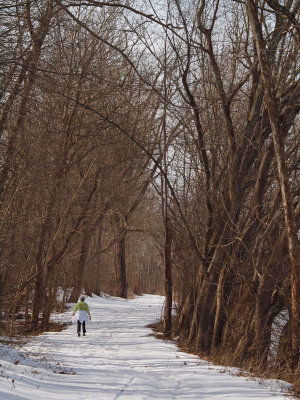A walk on a snow covered trail