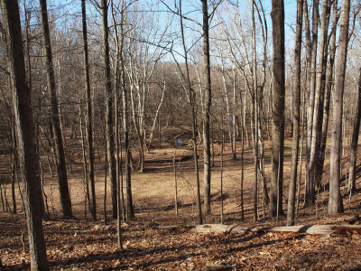 The stream at the bottom of the hill