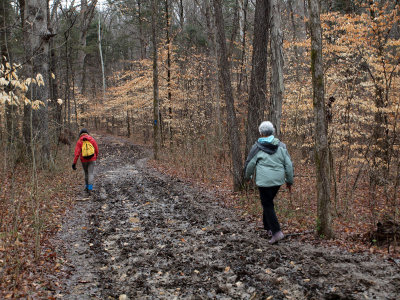 Mud on the Turnhole Bend Trail