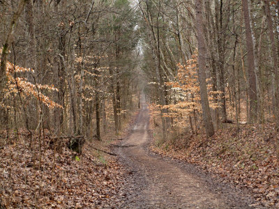 A dry section of the trail