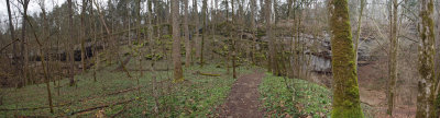 Panorama - Inside the  Cedar sink