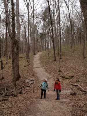 Listening to the ents