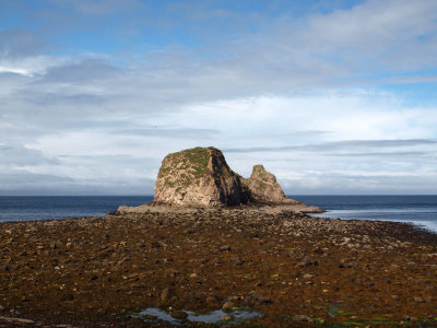 In a fishing cove near Dunnet Head